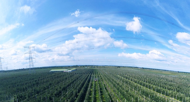 1684148794391813.jpg 優(yōu)德隆寬圖2.jpg